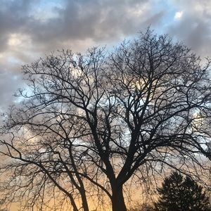 Meet your Posher, Sergio